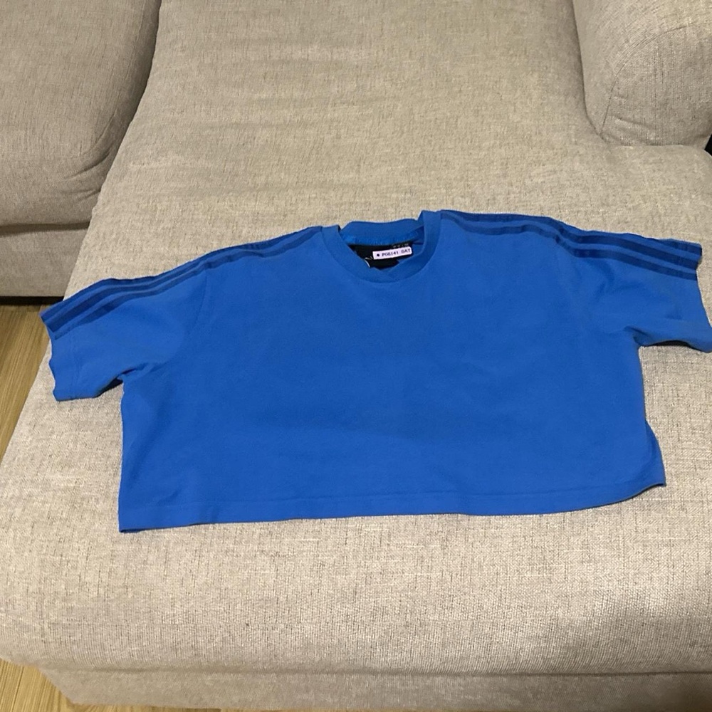 Blue Ivy Park Cropped Shirt
